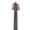 قیمت خرید فروش سیم گیتار باس 6 سیم Ibanez BTB746 NTL